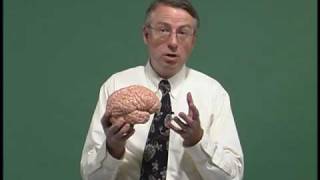 NeuroLogic Exam Videos  Introduction [upl. by Leander]