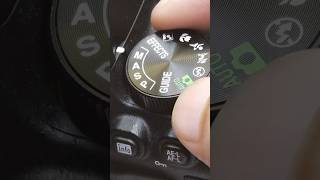 Nikon D5600 Camera Settings for Photography shorts [upl. by Ahcila]