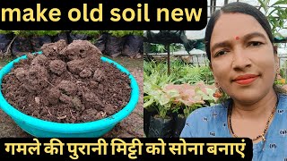 Make old soil new Reuse old potting soil गमले की पुरानी मिट्टी को सोना बनाएं। [upl. by Ahcas]