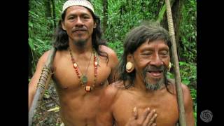 Mark Plotkin Maps Magic and Medicine in the Rainforest  Bioneers 2016 [upl. by Nileuqcaj390]