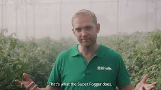 Rivulis Super Fogger Efficient climate control in your greenhouse [upl. by Zach]