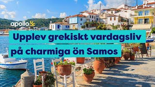 Upplev grekiskt vardagsliv på charmiga ön Samos [upl. by Enilesoj207]