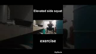 yogapractice ll full body workout ll Oberoi fitness ll triceps muscles workout ll elevated side [upl. by Danas422]