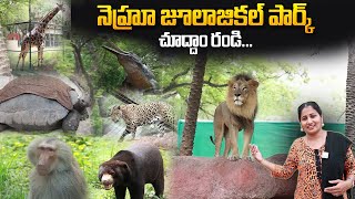 NEHRU ZOOLOGICAL PARK HYDERABAD  Complete Tour  Anchor Nirupama  SumanTV Telugu [upl. by Vesta]