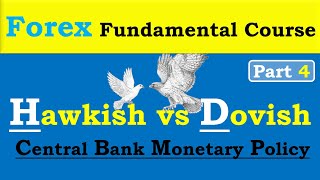 Hawkish and Dovish in forex  Hawkish vs Dovish in hindi  Meerfx [upl. by Htebazila]