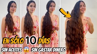 CABELLO LARGO EN 10 DÍAS CON SOLO 1 INGREDIENTE MÁGICO SIN ACEITES✅ [upl. by Micky]