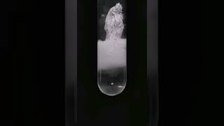 Sodium Hydroxide react with Aluminium foil experiment science [upl. by Ardnaet]