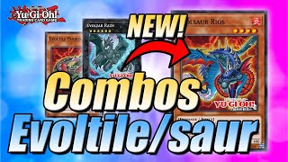 EVOLUTION CONTINUES  EVOLTILE EVOLSAUR OGDOADIC COMBOS  POST DUELIST NEXUS  YuGiOh [upl. by Durware]