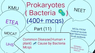 Prokaryotes  Bacteria  400 Mcqs Part 11  Important Diseases Cause by Bacteria  Human  Plant [upl. by Nepets]