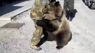 Russian man vs bear [upl. by Ciccia]