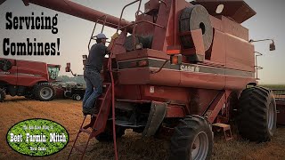 Wheat Harvest Servicing the Combines Case IH 2388 [upl. by Gomez]