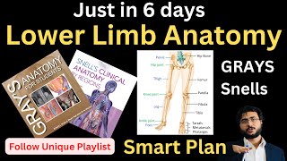 Lower Limb in 6 Days  HNML lowerlimb [upl. by Elyssa]