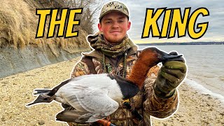 Diver Duck Hunting We Shot A STUD CANVASBACK  Duck Hunting 2023 [upl. by Alfred]