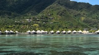 Overwater Bungalow French Polynesia [upl. by Bergstein]