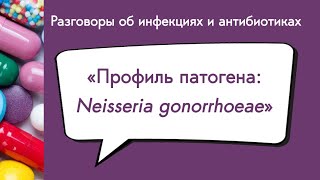 Профиль патогена Neisseria gonorrhoeae [upl. by Dietrich]