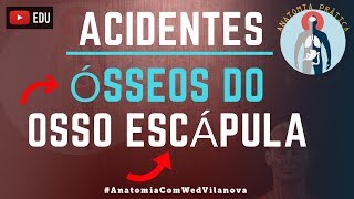 Osso Escápula ACIDENTES ÓSSEOS Quais são❗❓DESCUBRA AQUI❗ Anatomia Prática [upl. by Horacio]