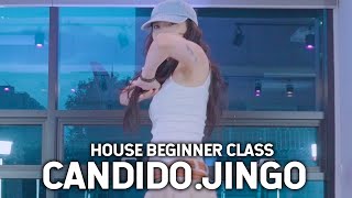 부산하우스댄스in Busan City Candido  Jingo Choreography hyewon┃house┃소울드아웃댄스 [upl. by Ledniahs51]