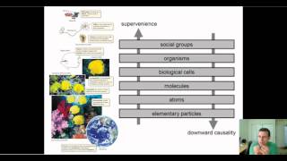 Systems Biology amp Emergent Properties Advanced [upl. by Purvis]