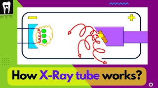 XRay Tube amp Components Dental X Ray tube  How does X Ray Work [upl. by Gnort]