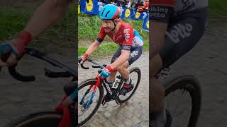 Victor CAMPENAERTS De Ronde Van Vlaanderen 2024 [upl. by Boony]