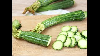 Zucchine Scopri le 10 Ricette Veloci e Sfiziose da Portarle in Tavola [upl. by Ailen]