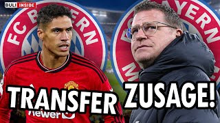 BayernZUSAGE an Max EBERL Raphael VARANE im Winter zum FCB Timo WERNER zu REAL MADRID [upl. by Aiekan292]