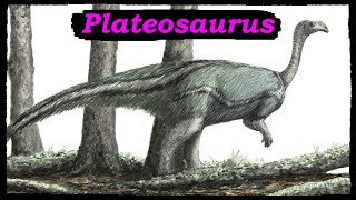 Plateosaurus the Triassic Ancestor of the largest Dinosaurs [upl. by Aical]