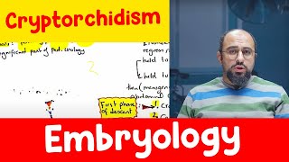 Ep 1  Cryptorchidism  Embryology  Dr Khaled Salah [upl. by Germayne]