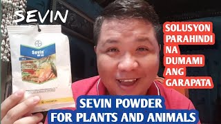 HOW TO KILL TICK AND FLEA TO YOUR HOUSEUSING SEVIN POWDER [upl. by Thornton259]