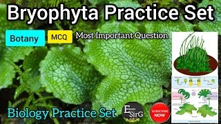 Bryophytes mcq questions  Bryophytes practice set  Bryophyta MCQ  Bryophyta Question answer [upl. by Ahsienahs]