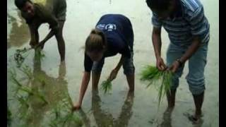 On the road Bangladesh  Episode 1 Rain and Rice [upl. by Anerys]