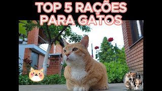 Top 5 melhores ração boas e baratas para gatos Links com desconto na descrição [upl. by Ingelbert]