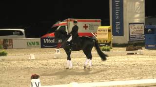 Chiemsee Pferdefestival 2015  Jessica v BredowWerndl [upl. by Coumas]