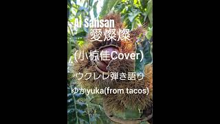 愛燦燦小椋佳Cover ゆかyukafrom tacos ウクレレ弾き語り [upl. by Cynara]