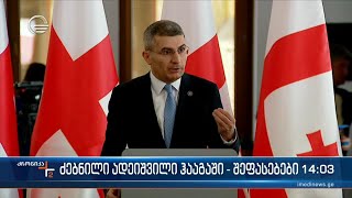 ძებნილი ზურაბ ადეიშვილი ჰააგაში  შეფასებები [upl. by Palecek]