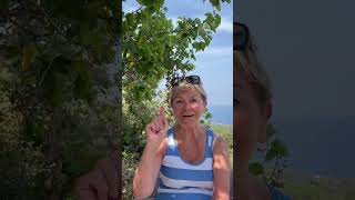 My Ikaria Guests Speak About Their Experience Faye R September 2023 [upl. by Nej]