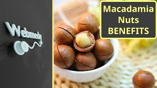 Health Benefits of Macadamia Nuts [upl. by Merralee548]