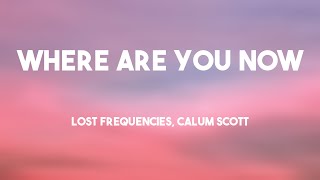 Where Are You Now  Lost Frequencies Calum Scott Letra 💤 [upl. by Ylecara]