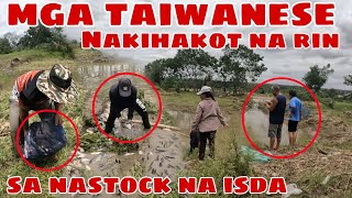 Sinugod na rin ng mga Taiwanese at mga Thai ang Mga Natrap na Sobrang Daming Isda [upl. by Shabbir48]