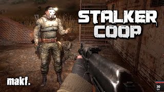 🔴 ☢️ STALKER MULTIPLAYER  Call of Pripyat Cooperativo [upl. by Yspyg]