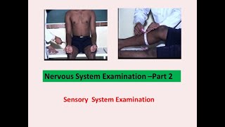 CNS Examination Part 2 l Clinical Examination l Ayurveda Academy [upl. by Katya]