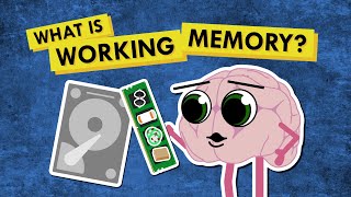 Why I Cant Remember Things  How ADHD Affects Working Memory [upl. by Ailuig162]