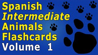 Intermediate SpanishAnimal Flashcards 1 [upl. by Pontone]