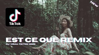 EST CE QUE REMIX VIRAL TIKTOK 2024 [upl. by Joete243]