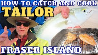 How To Catch and Cook TAILOR on Fraser Island Catching Filleting Cooking fresh Tailor on the Beach [upl. by Babby]