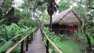 Centro Ecoturístico Las Guacamayas Chiapas [upl. by Wade]