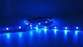 30LEDM DC12V WS2815 RGBW pixel led strip light [upl. by Aiduan]