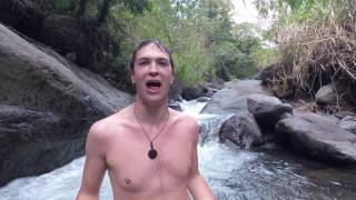 Volunteering on a Coffee Farm in Costa Rica Pura Vida Mae [upl. by Toogood]