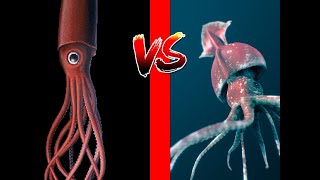 Colossal Squid VS Giant squid [upl. by Ahcirt12]