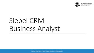 Siebel CRM Business Analyst Course Introduction  The Siebel Hub Learning Experience [upl. by Alemaj]